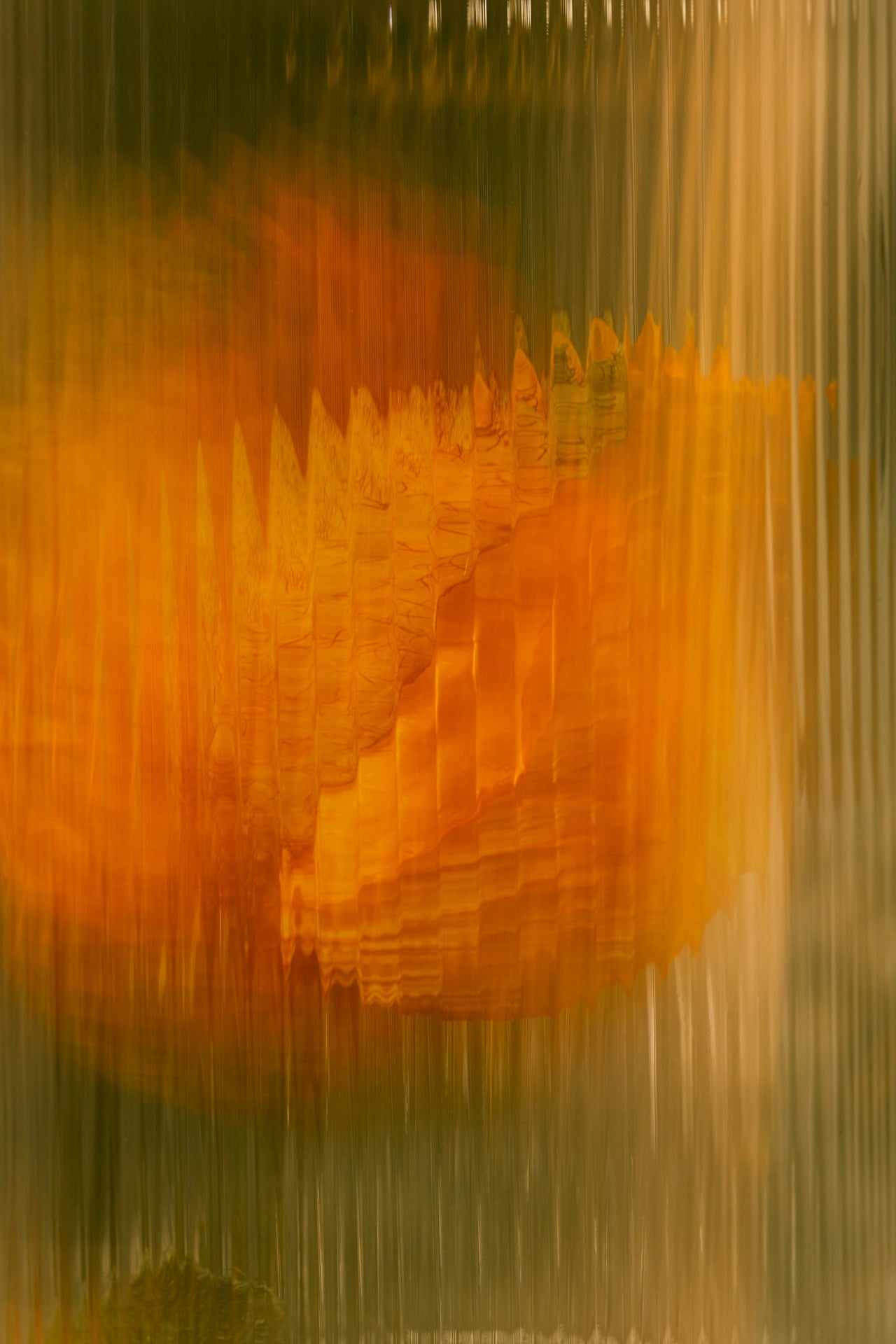 Foto von orangefarbener Blüte hinter Glas