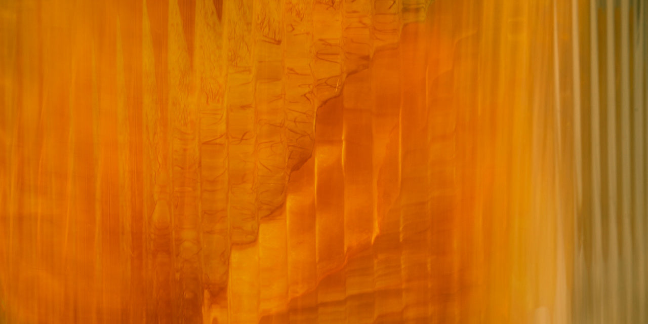 Foto von orangefarbener Blüte hinter Glas