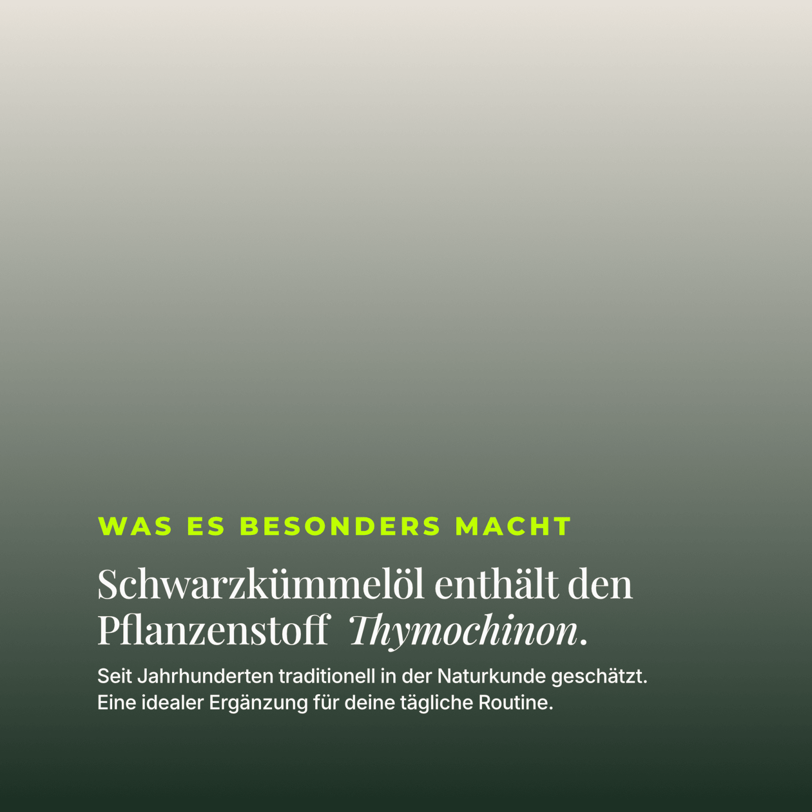 Schwarzkümmelöl Kapseln Bio - Heros Health